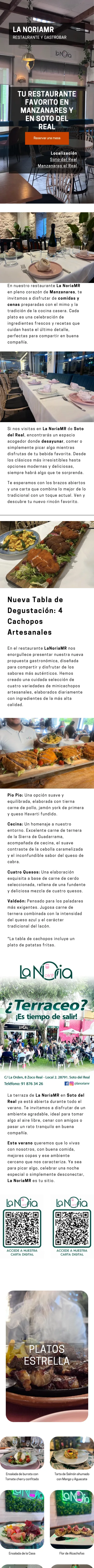 Vista móvil del proyecto La NoriaMR